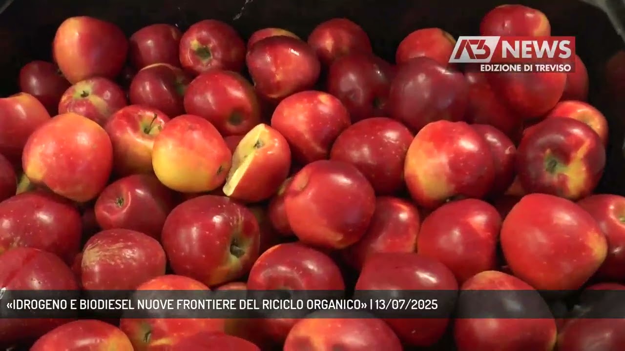 «IDROGENO E BIODIESEL NUOVE FRONTIERE DEL RICICLO ORGANICO» | 13/07/2025 «IDROGENO E BIODIESEL NUOVE FRONTIERE DEL RICICLO ORGANICO» | 13/07/2025