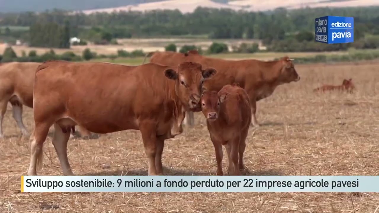Sviluppo sostenibile: 9 milioni a fondo perduto per 22 imprese agricole pavesi Sviluppo sostenibile: 9 milioni a fondo perduto per 22 imprese agricole pavesi