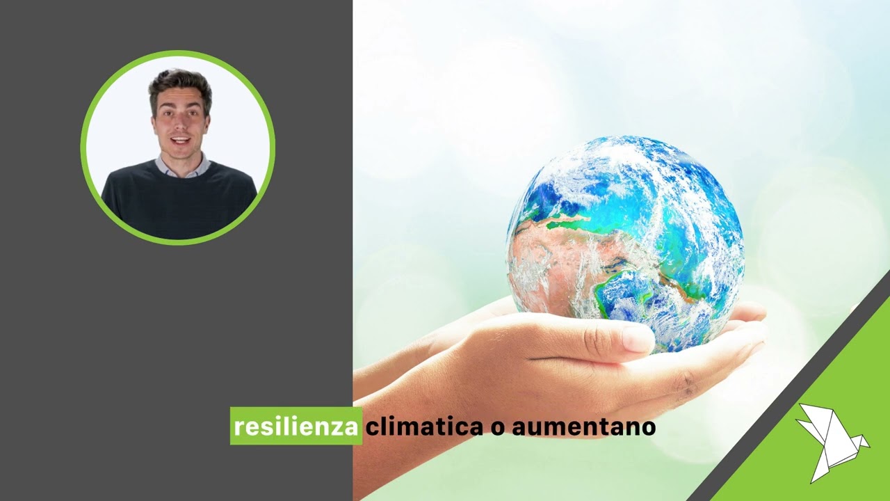 Principio DNSH (Do No Significant Harm) – Cos’è, cosa significa e a cosa serve. Principio DNSH (Do No Significant Harm) – Cos’è, cosa significa e a cosa serve.