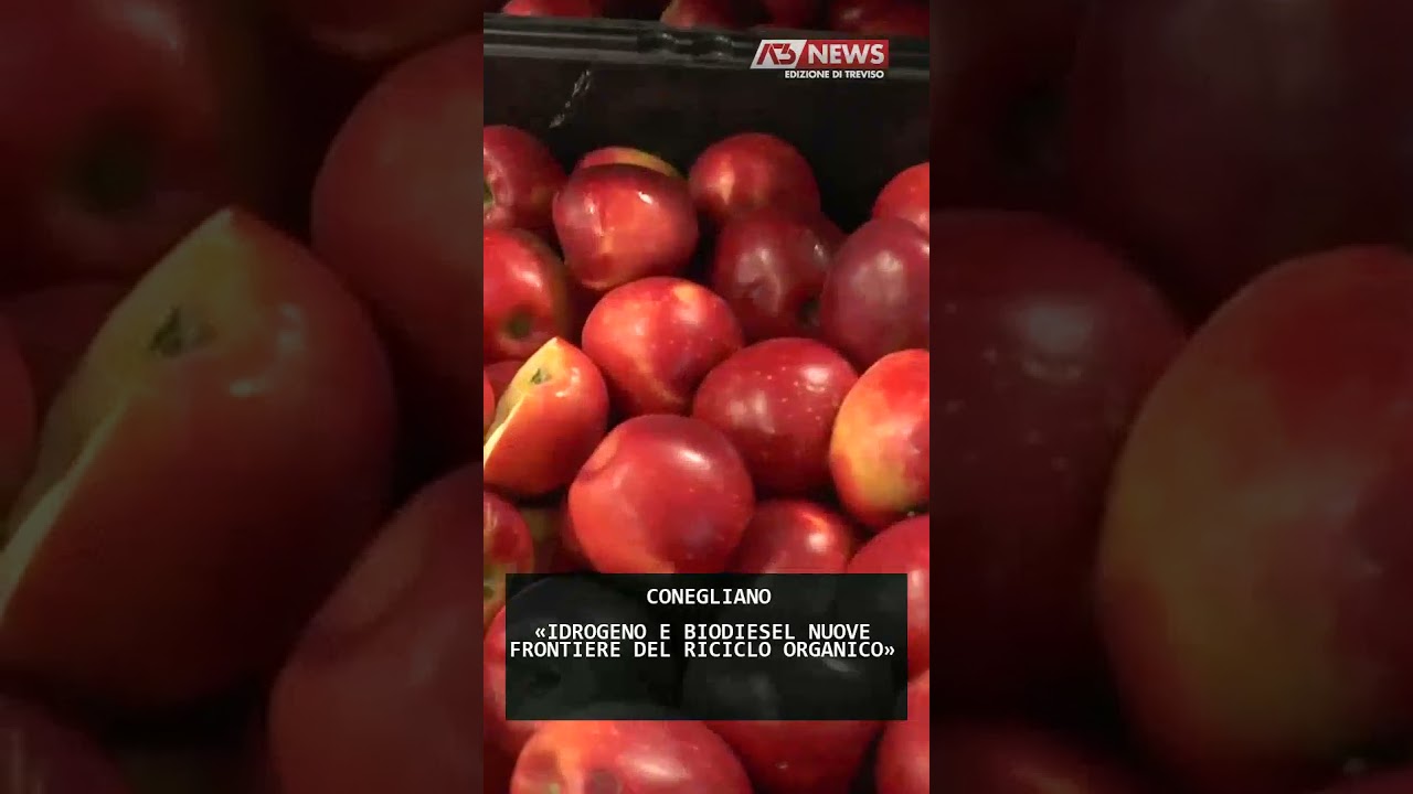 «IDROGENO E BIODIESEL NUOVE FRONTIERE DEL RICICLO ORGANICO» | 13/07/2025 «IDROGENO E BIODIESEL NUOVE FRONTIERE DEL RICICLO ORGANICO» | 13/07/2025