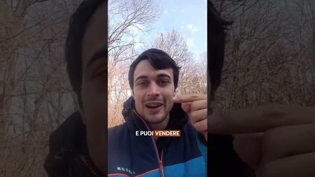 Bandi e finanziamenti? Bandi e finanziamenti?