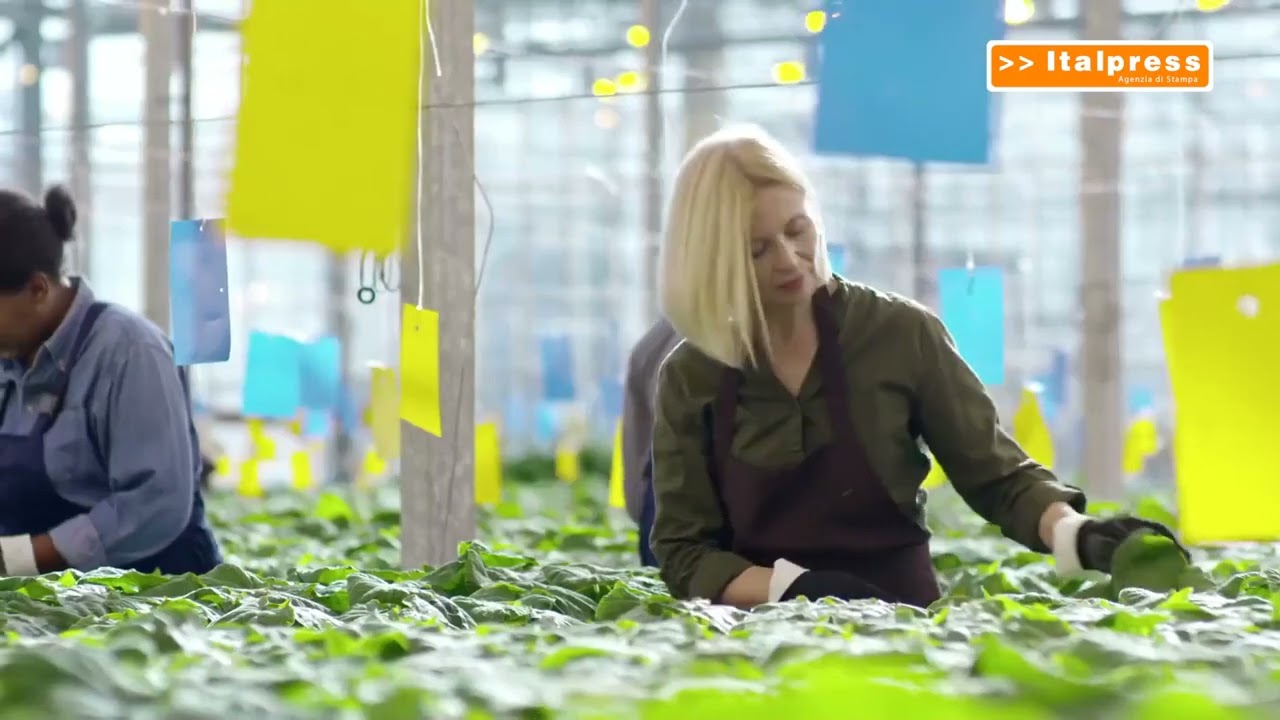 “Coltiva Italia”, un maxi piano per l’agricoltura “Coltiva Italia”, un maxi piano per l’agricoltura