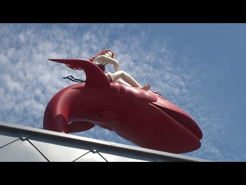 In dirittura d’arrivo i lavori di realizzazione della nuova piscina comunale In dirittura d’arrivo i lavori di realizzazione della nuova piscina comunale