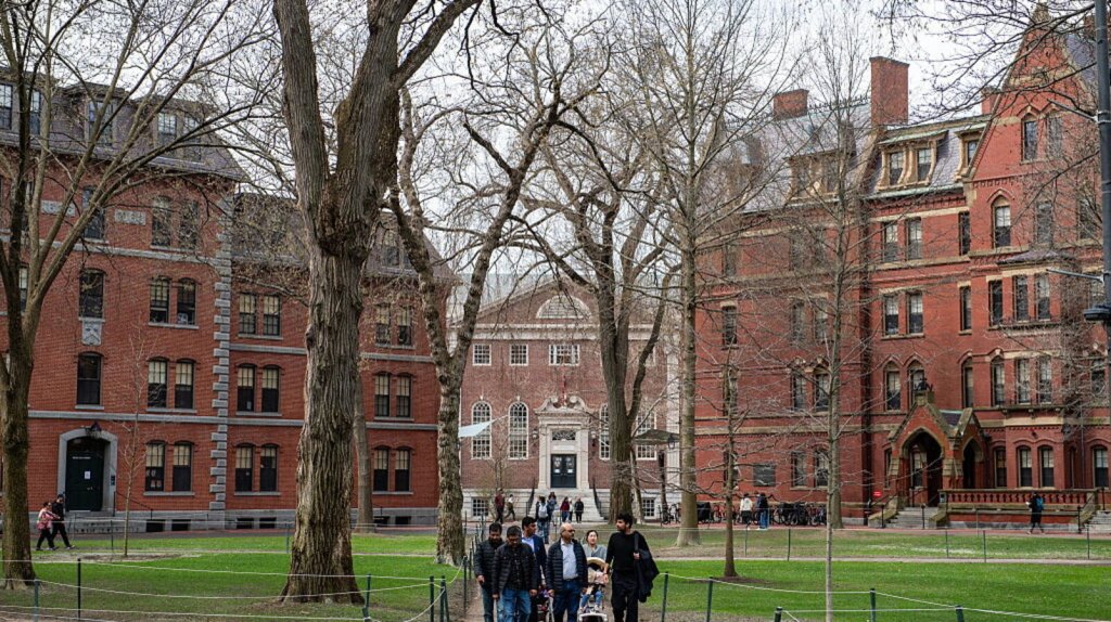 Harvard perde 2,4 miliardi e 1.000 borse: i tagli alla ricerca colpiscono duro (dall’Ai alla salute) Harvard perde 2,4 miliardi e 1.000 borse: i tagli alla ricerca colpiscono duro (dall’Ai alla salute)