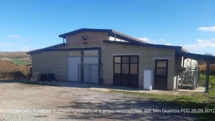 Asta giudiziaria Magazzino Contrada San Vito 3, 86043 Casacalenda CB Asta giudiziaria Magazzino Contrada San Vito 3, 86043 Casacalenda CB