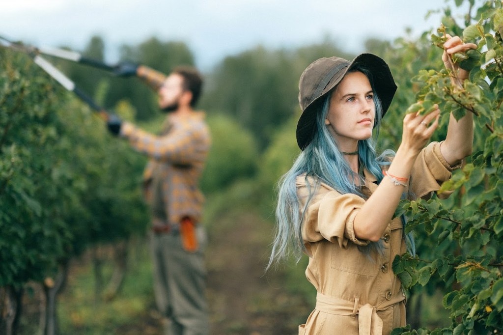 Credito d’imposta formazione giovani agricoltori: le istruzioni delle Entrate Credito d’imposta formazione giovani agricoltori: le istruzioni delle Entrate