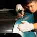 How to remove scratches from your car’s paint How to remove scratches from your car’s paint