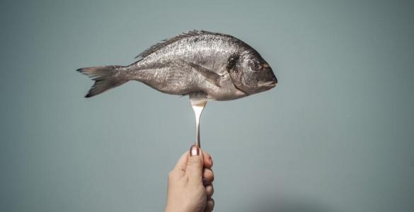 Is the Paleo diet the secret to health and weight loss? Is the Paleo diet the secret to health and weight loss?