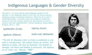 Indigenous Gender Diversity and Traditional Roles Indigenous Gender Diversity and Traditional Roles