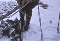 Inuit survival skills arctic Inuit survival skills arctic