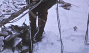 Inuit survival skills arctic Inuit survival skills arctic