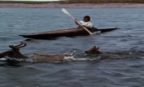 Yupik Caribou Hunting Methods Yupik Caribou Hunting Methods