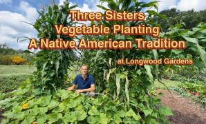 Native American Tribal Garden Designs: Traditional Planting Methods and Layouts Native American Tribal Garden Designs: Traditional Planting Methods and Layouts