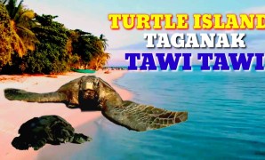 Who coined the term Turtle Island Who coined the term Turtle Island
