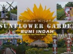 Pesona Keindahan Bunga Matahari Di Sunflower Garden Bumi Indah Pasar Kemis: Destinasi Wisata Instagramable Di Tangerang Pesona Keindahan Bunga Matahari Di Sunflower Garden Bumi Indah Pasar Kemis: Destinasi Wisata Instagramable Di Tangerang