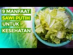 Sawi Putih: Sayuran Serbaguna Dengan Segudang Manfaat Dan Cara Penyajian Kreatif Sawi Putih: Sayuran Serbaguna Dengan Segudang Manfaat Dan Cara Penyajian Kreatif