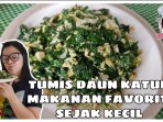 Tumis Daun Katuk: Kelezatan Sederhana Dengan Segudang Manfaat Untuk Kesehatan Tumis Daun Katuk: Kelezatan Sederhana Dengan Segudang Manfaat Untuk Kesehatan