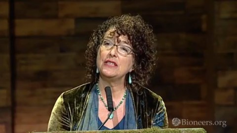 Phaedra Ellis-Lamkins, Nina Simons and Ilarion Merculieff on Women's Leadership | Bioneers Phaedra Ellis-Lamkins, Nina Simons and Ilarion Merculieff on Women's Leadership | Bioneers