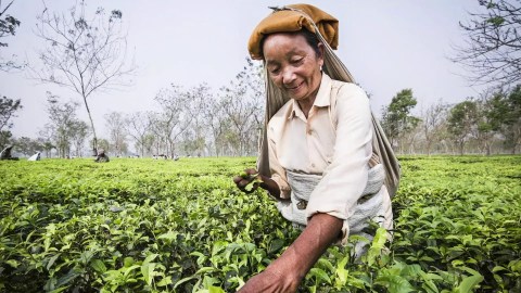 Women in leadership – International Women's Day 2021 Women in leadership – International Women's Day 2021