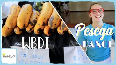 SAMOA WOMEN IN BUSINESS |  PESEGA COLLEGE DANCE PERFORMANCE | SAMOAN VLOG | Episode 120 SAMOA WOMEN IN BUSINESS |  PESEGA COLLEGE DANCE PERFORMANCE | SAMOAN VLOG | Episode 120