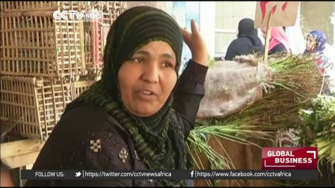 Egyptian NGO offering microcredit loans to women in business Egyptian NGO offering microcredit loans to women in business