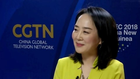 Tian Wei interviews the chair of the APEC Women's Leadership Forum Tian Wei interviews the chair of the APEC Women's Leadership Forum