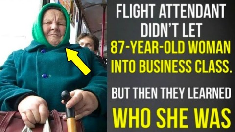 Flight attendant didn’t let 87-year-old woman into business class. But then they learned who she was Flight attendant didn’t let 87-year-old woman into business class. But then they learned who she was