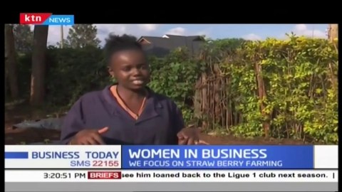 Focus on strawberry farming | Women in Business Focus on strawberry farming | Women in Business