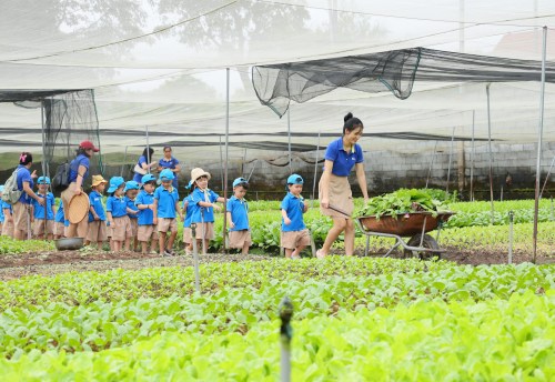 “Little farmers” explore the green vegetable gardern “Little farmers” explore the green vegetable gardern