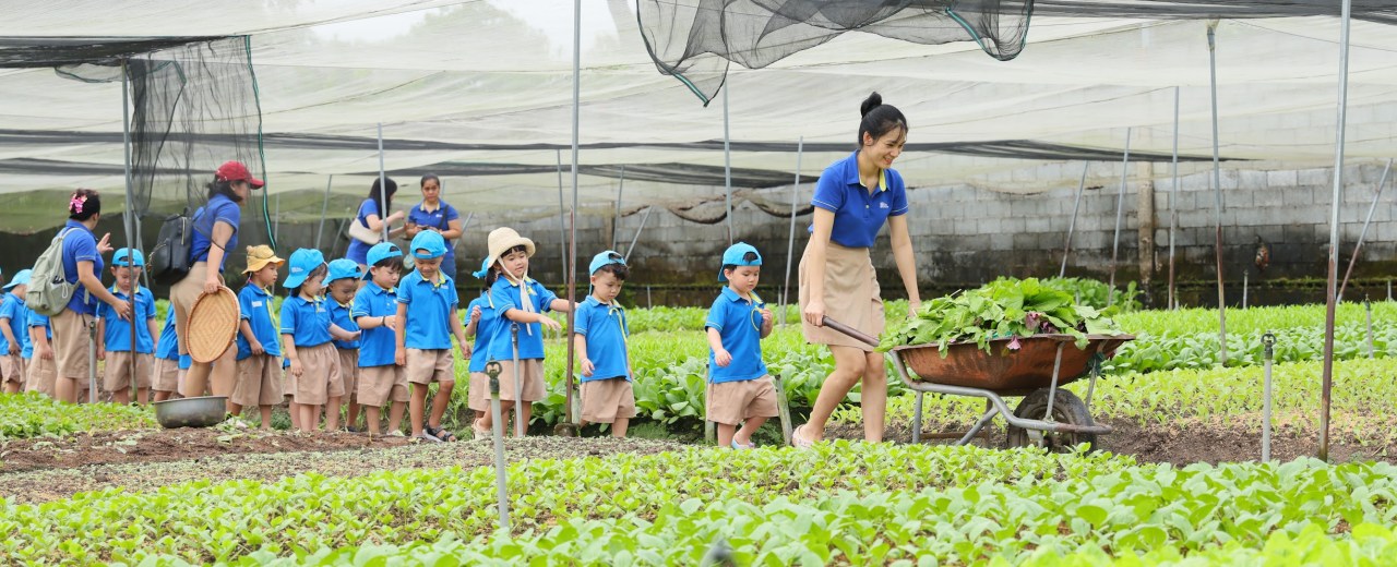 “Little farmers” explore the green vegetable gardern “Little farmers” explore the green vegetable gardern