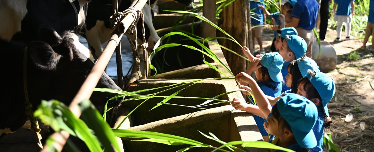 We became “little farmers” for a day We became “little farmers” for a day