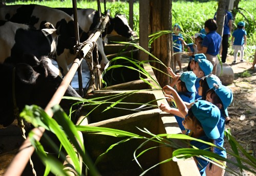 Tụi mình đi làm “nông dân nhí” một ngày Tụi mình đi làm “nông dân nhí” một ngày