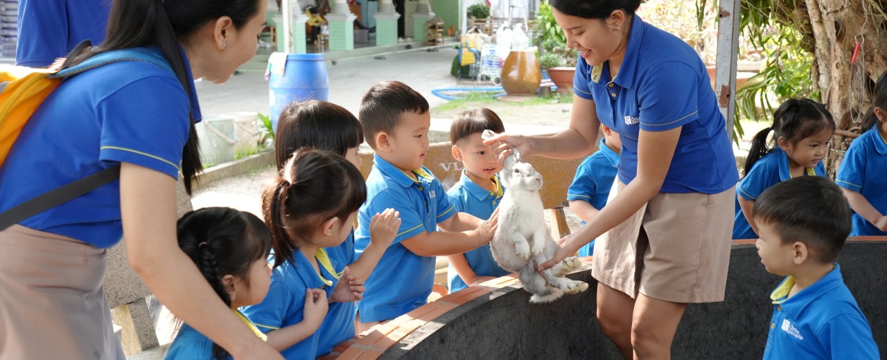 Little 1 students’ rabbit farm adventure! ✨ Little 1 students’ rabbit farm adventure! ✨
