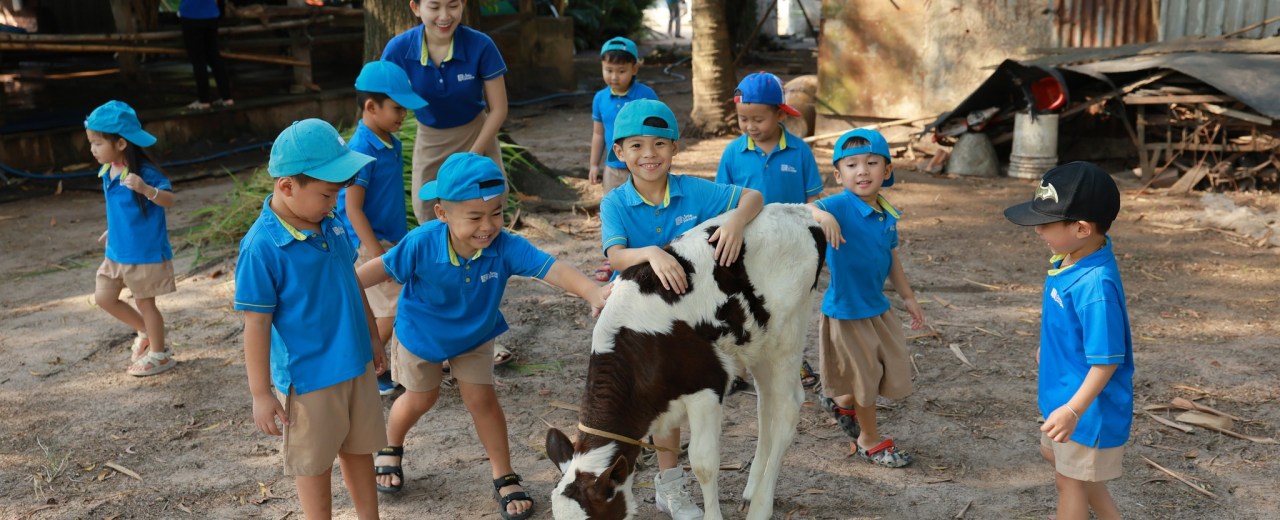 Discovering the “home” of dairy cows – Little 2 students’ farm adventure Discovering the “home” of dairy cows – Little 2 students’ farm adventure