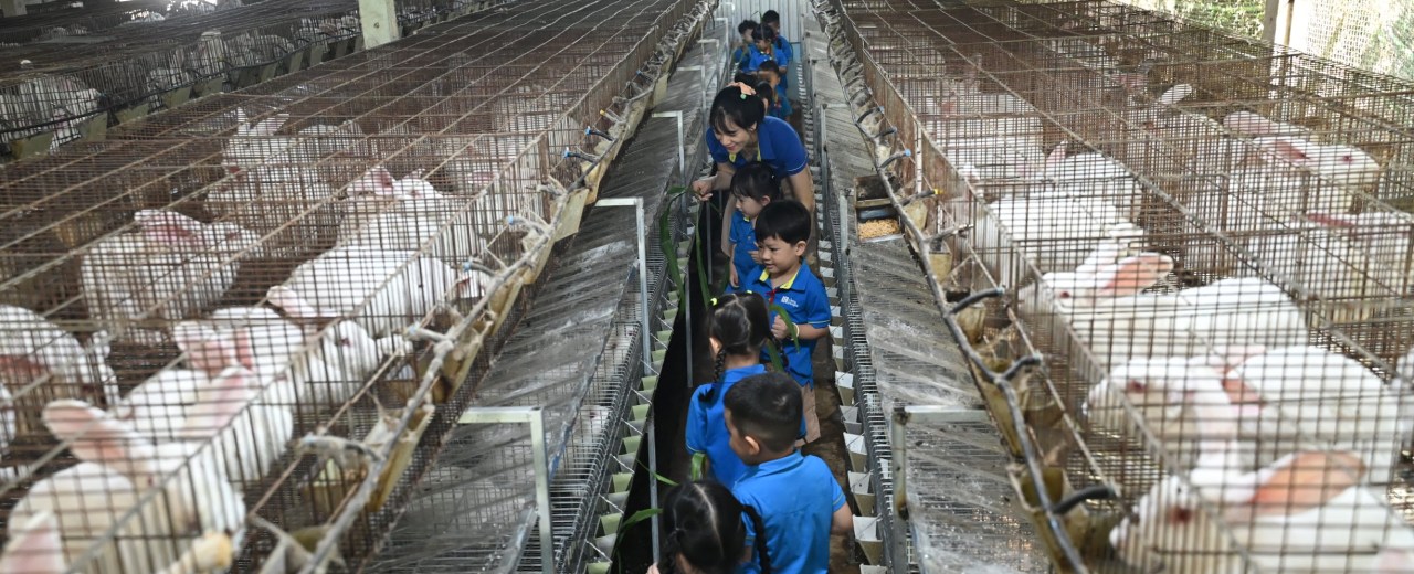 Fairytale in real life: the tortoise and the hare compete! Fairytale in real life: the tortoise and the hare compete!