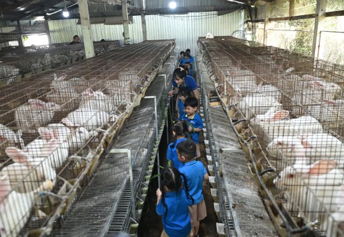 Fairytale in real life: the tortoise and the hare compete! Fairytale in real life: the tortoise and the hare compete!