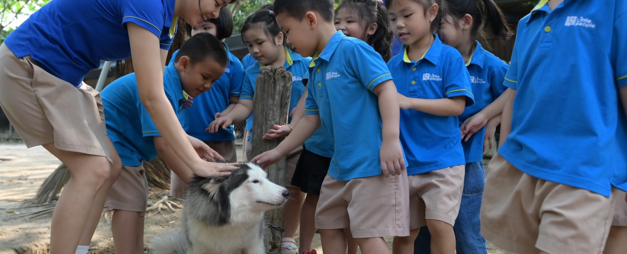 Little 3’s visit to the dog training center Little 3’s visit to the dog training center