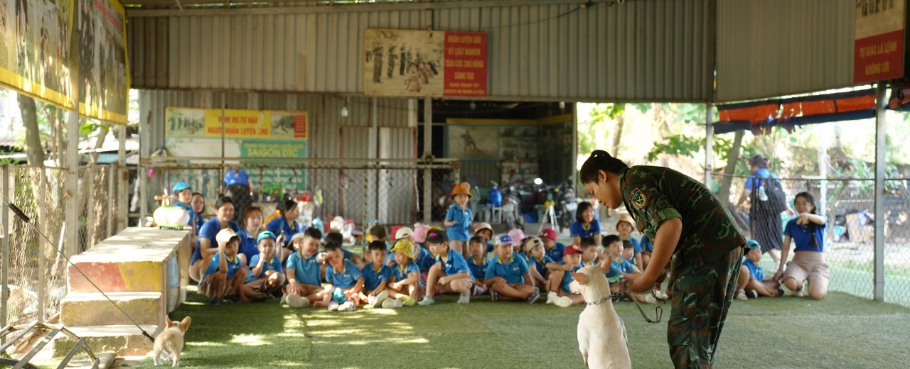 Một ngày làm bạn với những chú chó anh hùng Một ngày làm bạn với những chú chó anh hùng