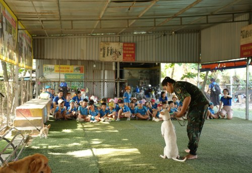 Một ngày làm bạn với những chú chó anh hùng Một ngày làm bạn với những chú chó anh hùng