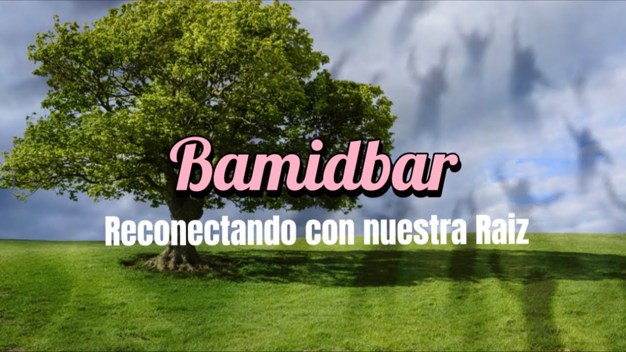 Havdalah y Energia de la semana Parashat Bamidbar Havdalah y Energia de la semana Parashat Bamidbar