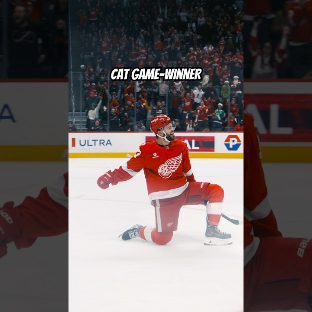 Alex DeBrincat nets the game-winning goal vs. the Islanders Alex DeBrincat nets the game-winning goal vs. the Islanders