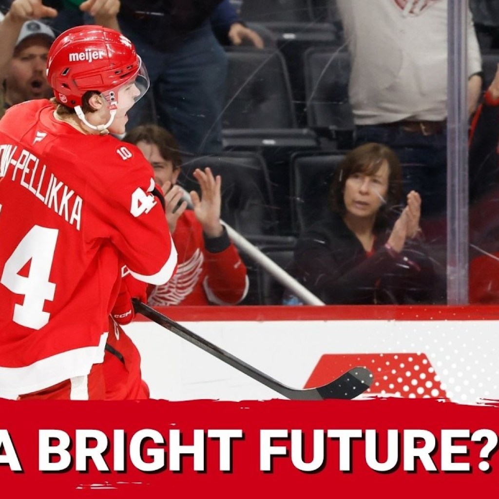 Bright future ahead? The Athletic ranks the Wings prospect pool 4th — But does it have top talent? Bright future ahead? The Athletic ranks the Wings prospect pool 4th — But does it have top talent?