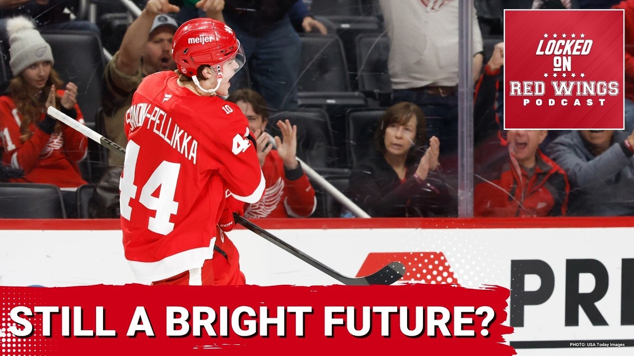 Bright future ahead? The Athletic ranks the Wings prospect pool 4th — But does it have top talent? Bright future ahead? The Athletic ranks the Wings prospect pool 4th — But does it have top talent?