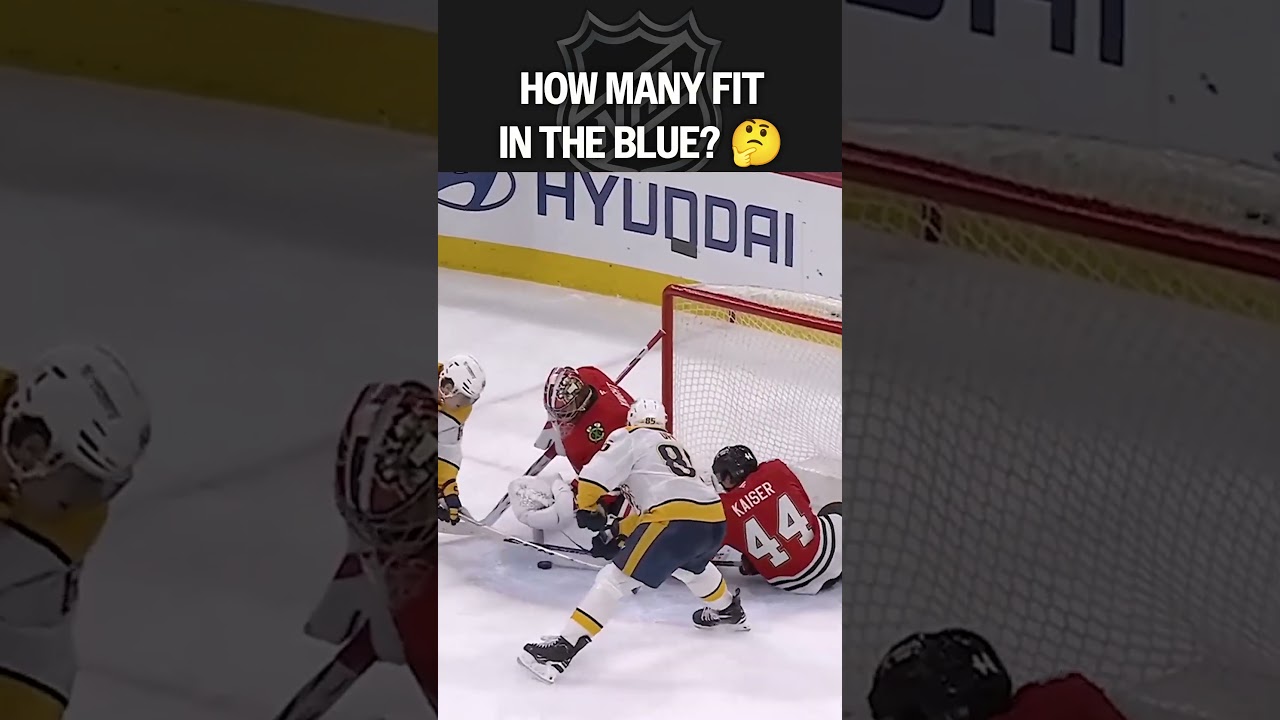 I counted 7 I counted 7