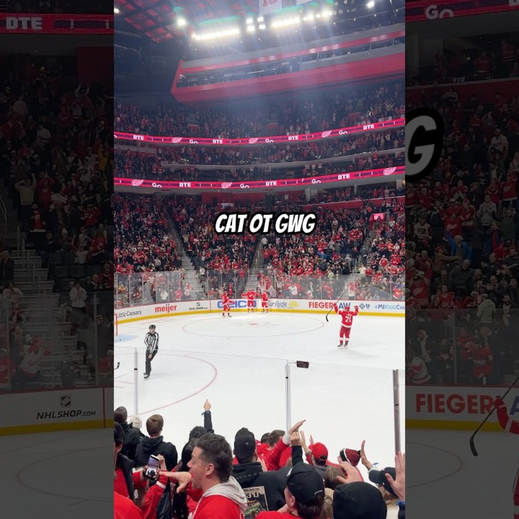 Alex DeBrincat nets the overtime game-winner vs. Ottawa Alex DeBrincat nets the overtime game-winner vs. Ottawa