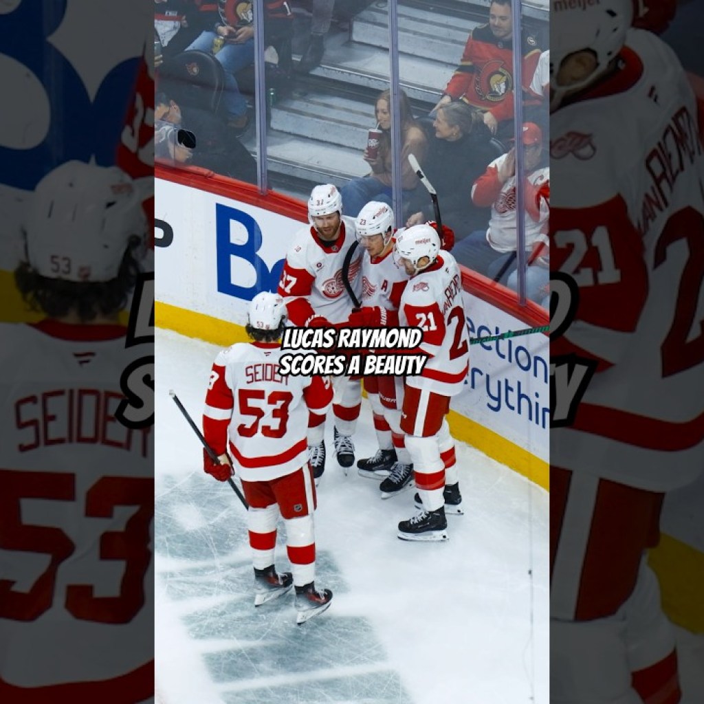 Lucas Raymond scores a silky goal against the Ottawa Senators Lucas Raymond scores a silky goal against the Ottawa Senators