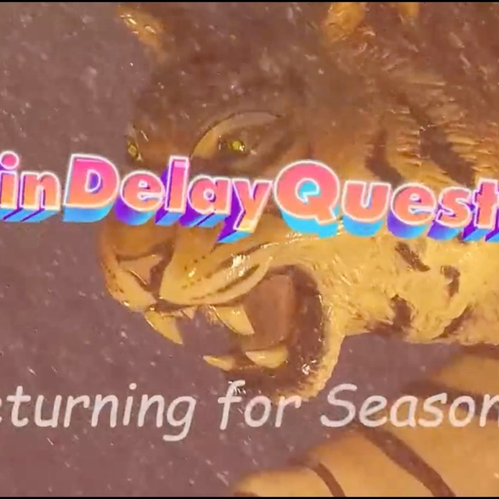 Weird Food, Rain Songs, Tarp Prices and More | Rain Delay Questions on Detroit SportsNet Weird Food, Rain Songs, Tarp Prices and More | Rain Delay Questions on Detroit SportsNet