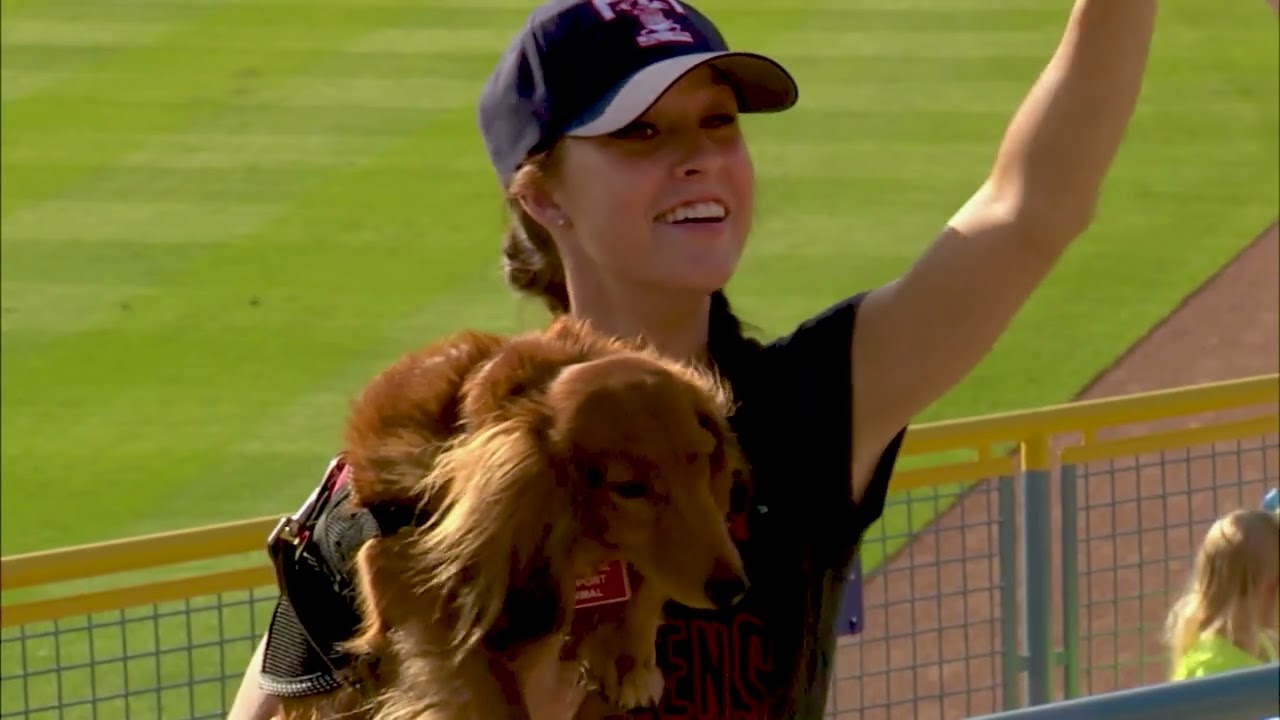 2024 Mud Hens Promotional Schedule 2024 Mud Hens Promotional Schedule