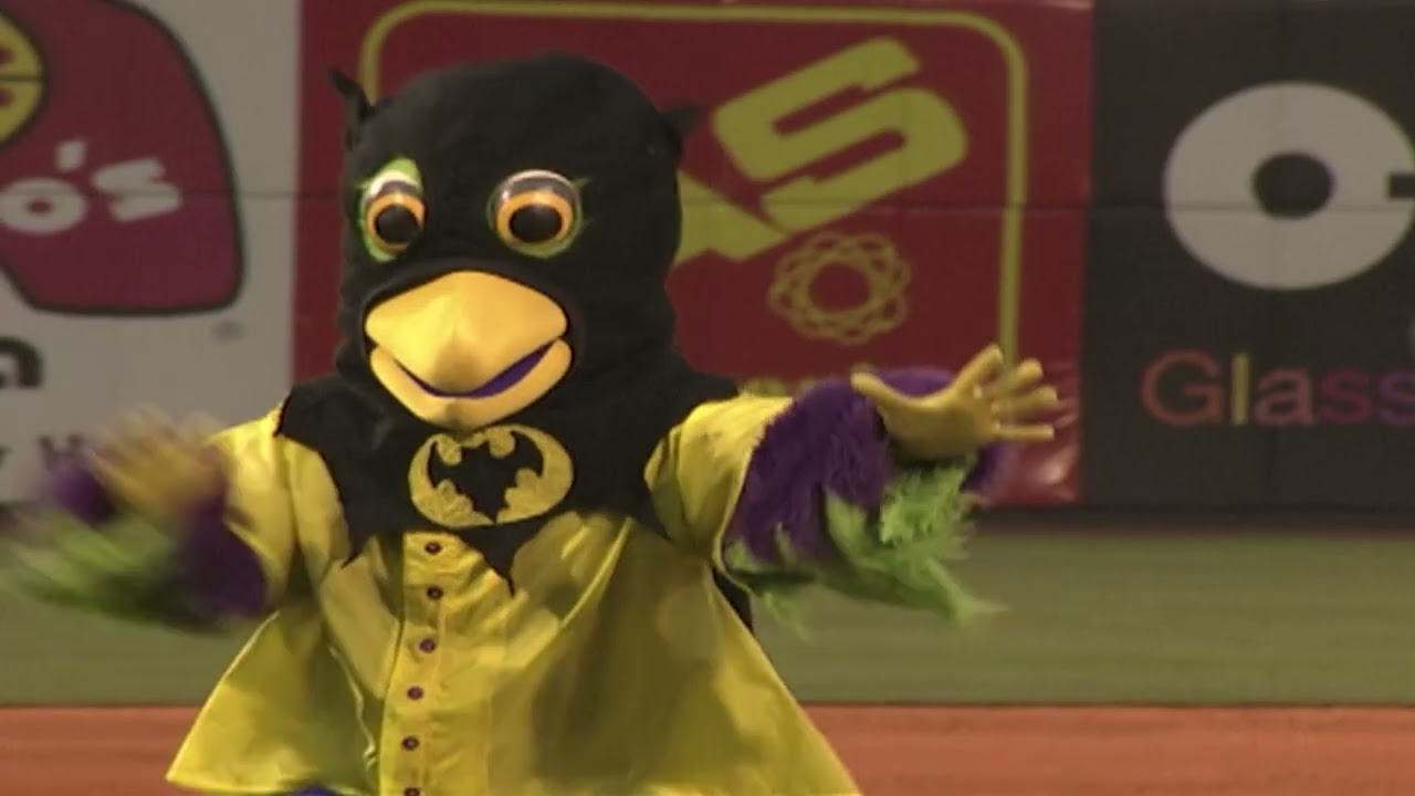 BirdZerk Promo | Sunday, July 24 BirdZerk Promo | Sunday, July 24