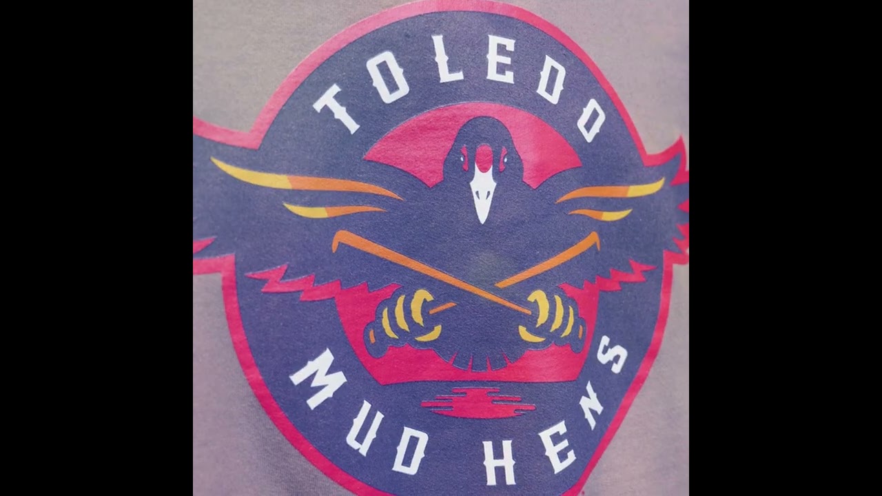 Mud Hens Real Bird Collection Mud Hens Real Bird Collection